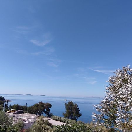 Amazing Villa Galeb In Murter Quarto foto